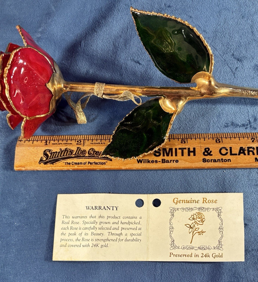 24k & Enamel Preserved Real Red Rose With Forever Keepsake