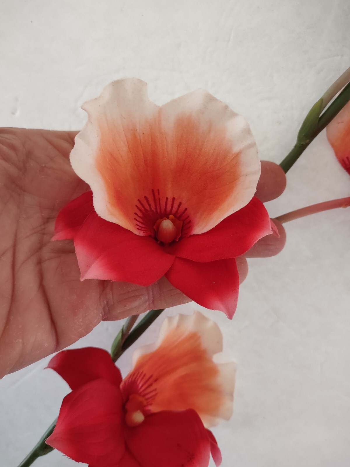 Artificial miltoniopsis orchid stem CORAL/PEACH