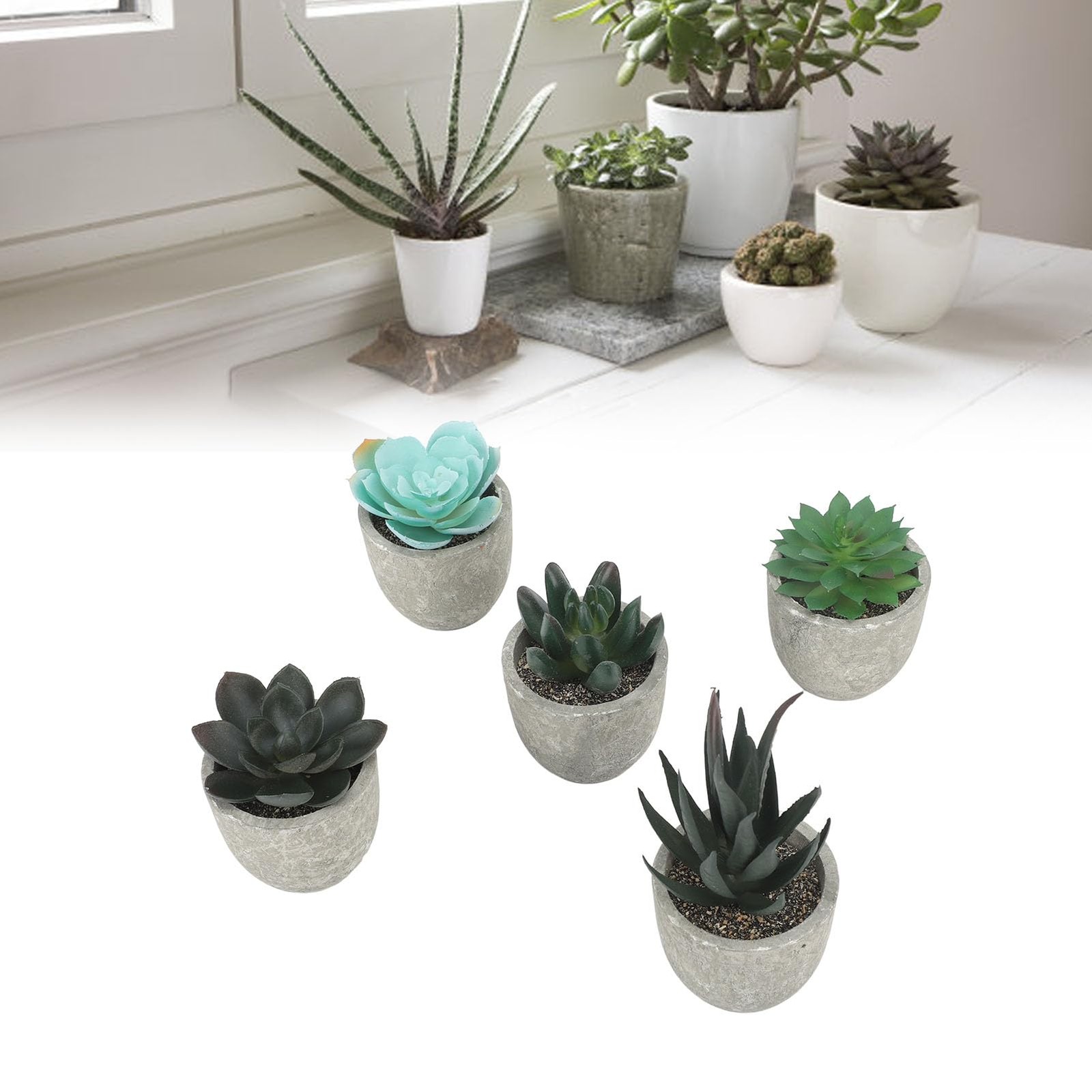 5 PCS Succulents Plants Artificial Mini Fake Pots Assorted Small Faux Decor