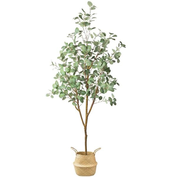 HOMLUX 71in. Eucalyptus Artificial Tree w/ Vivid Trunks in Woven Seagrass Basket