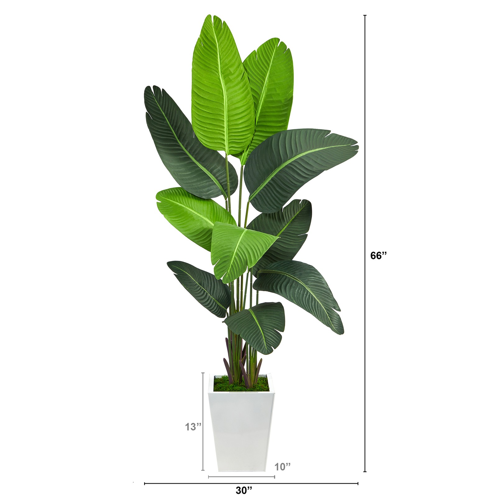 66″ Travelers Palm Artificial Tree in White Metal Planter in Green/White