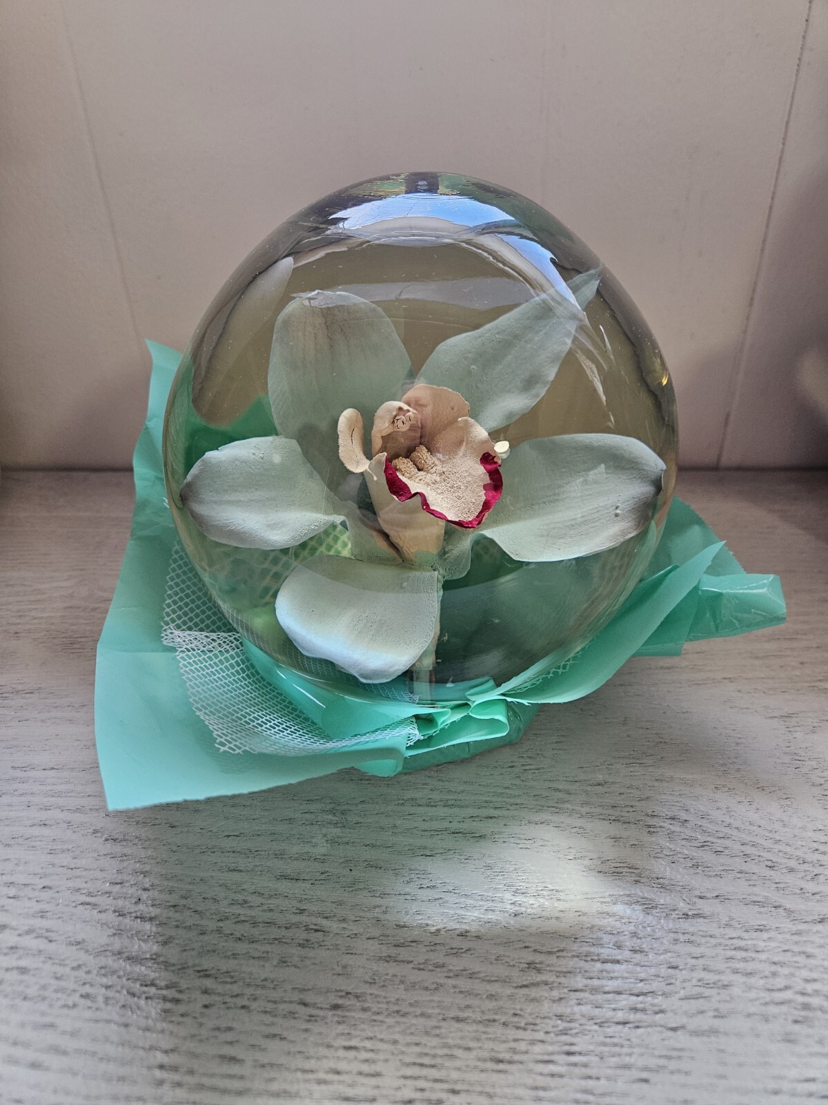 Bill Doran Mexico ORCHID Flower Globe Preserved Decor 7″ Teal Green Clear Gorg!!