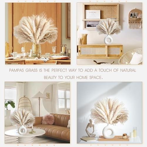 70PCS Natural Dried Pampas Grass Boho Home Decor Bouquet Phragmites 70 Pcs