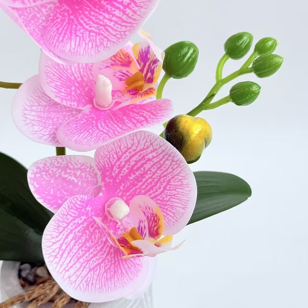 Fake Orchid Flower Plant in Cement Pot for Contemporary For Home Decoration