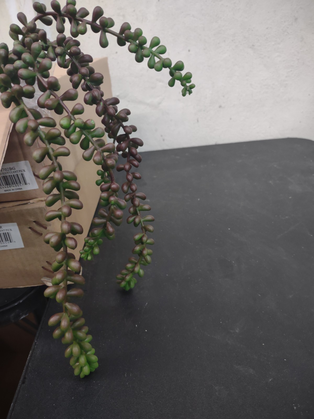 Hanging Pearl Succulent, Gorgeous Burgundy & Green, Retro Plastic Garden Plant