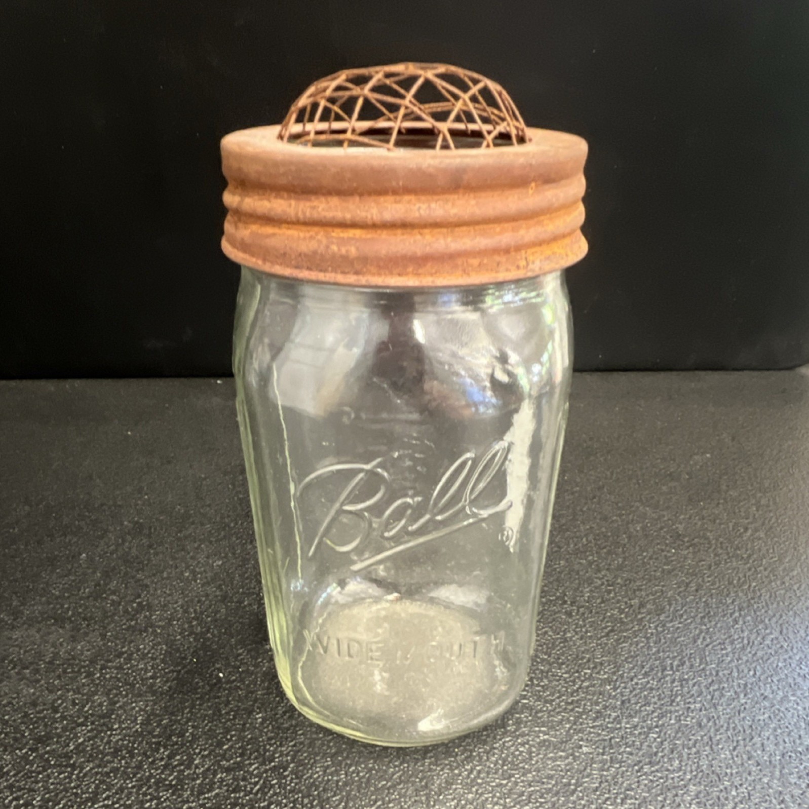 Ball Wide Mouth Glass Mason Jar Flower Vase with Metal Grid Lid