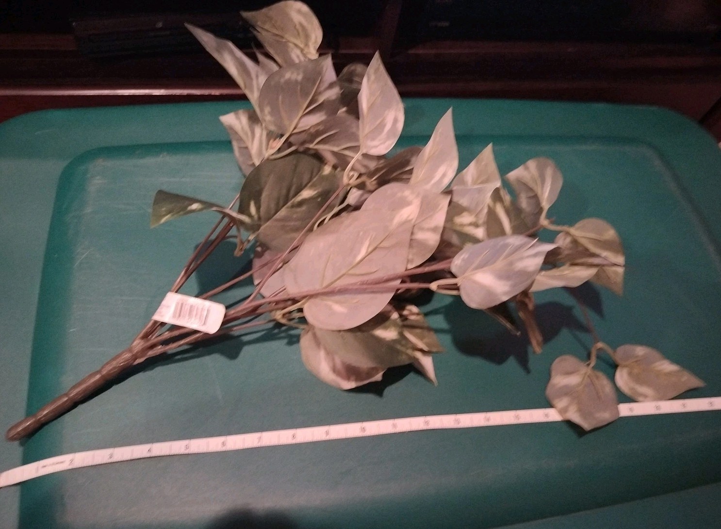 Ashland Artificial Golden Pothos plant green/white marbled leaves hanging stems