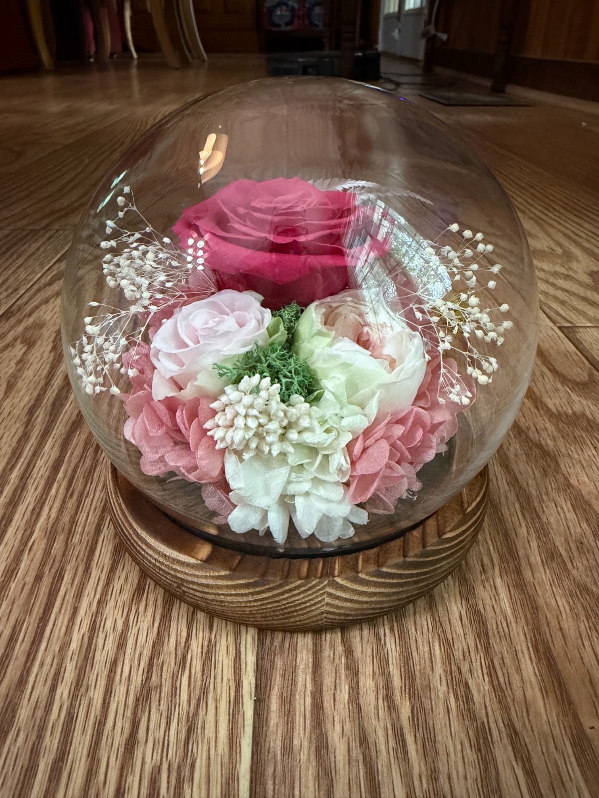 PRESERVED PINK AND RED ROSES IN A LED GLASS LIT DOME W/ORGINAL BOX