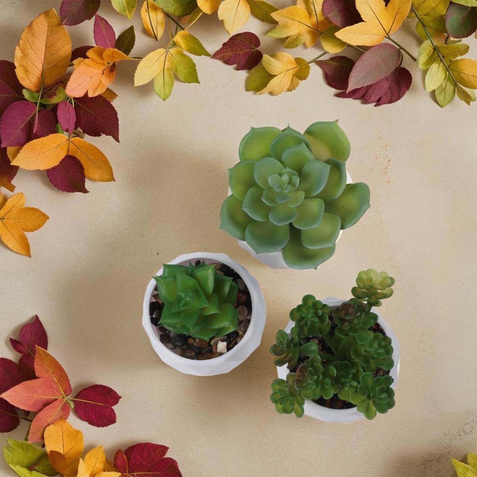 3pcs Elegant Artificial Succulent Plants for For home and Office Display
