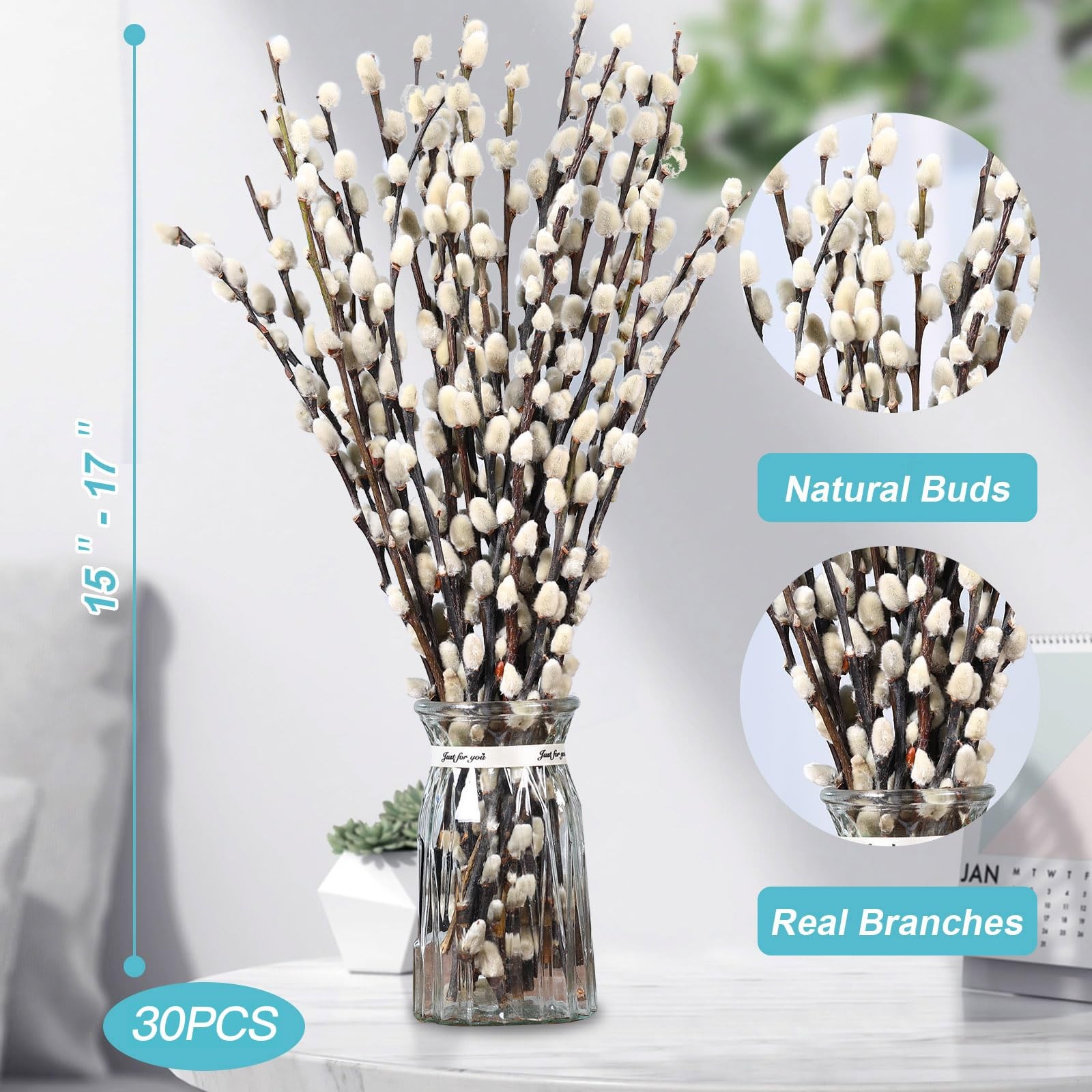 Natural Preserved Dried PussyWillow Branches for Vases, 30 30 PCS, White