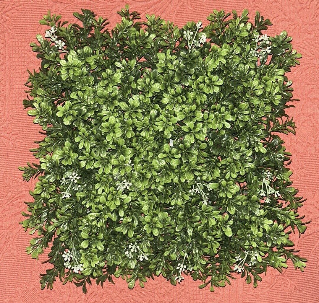 Boxwood Mat/Panel, 10” X 10”