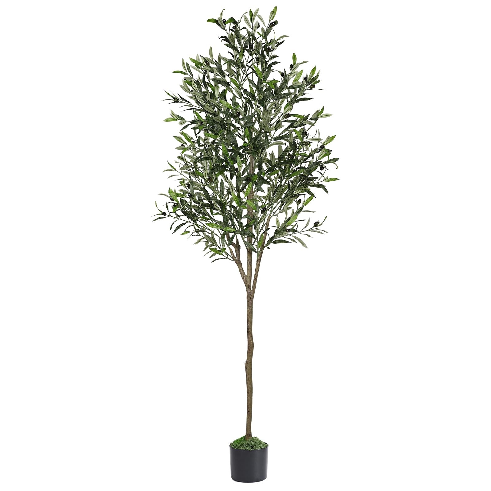 6ft Olive Tree Artificial Indoor, Fake Tree Potted Faux Olive Trees with Life…