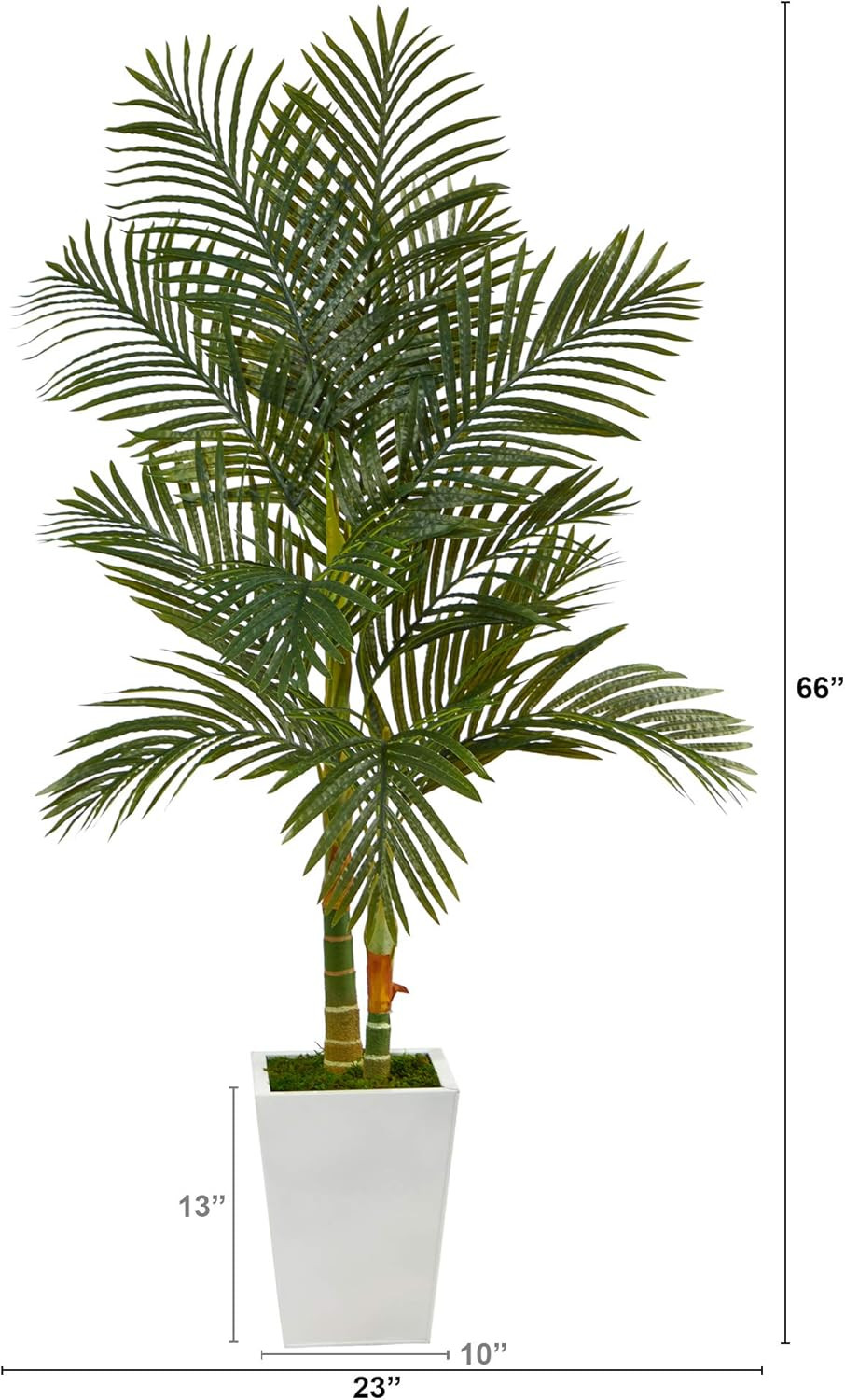 5.5Ft Golden Cane Artificial Palm Tree in Stylish White Metal Planter