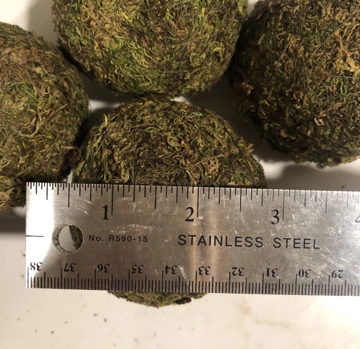 Natural Moss Balls Spheres 3-3.5 inches (5 Balls)