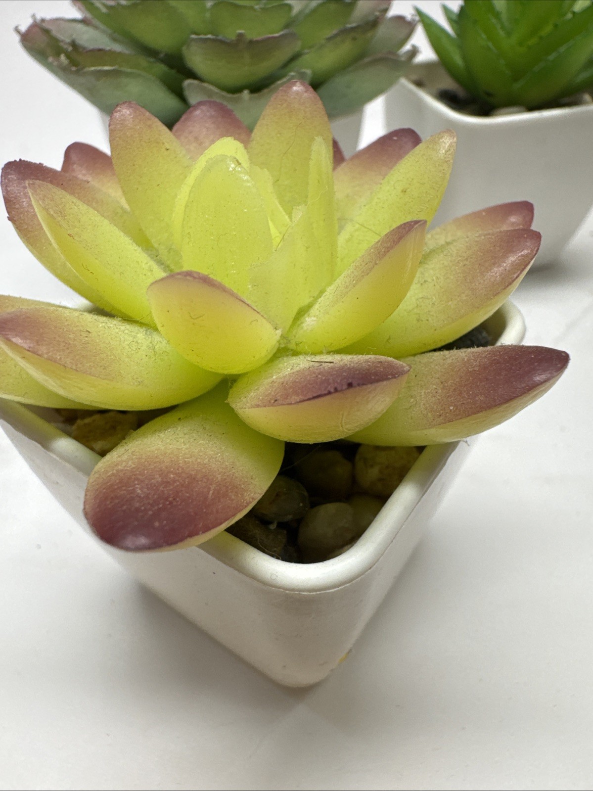 Gift Set of 5 Mini Artificial Succulent Plants in Square White Plastic Pots
