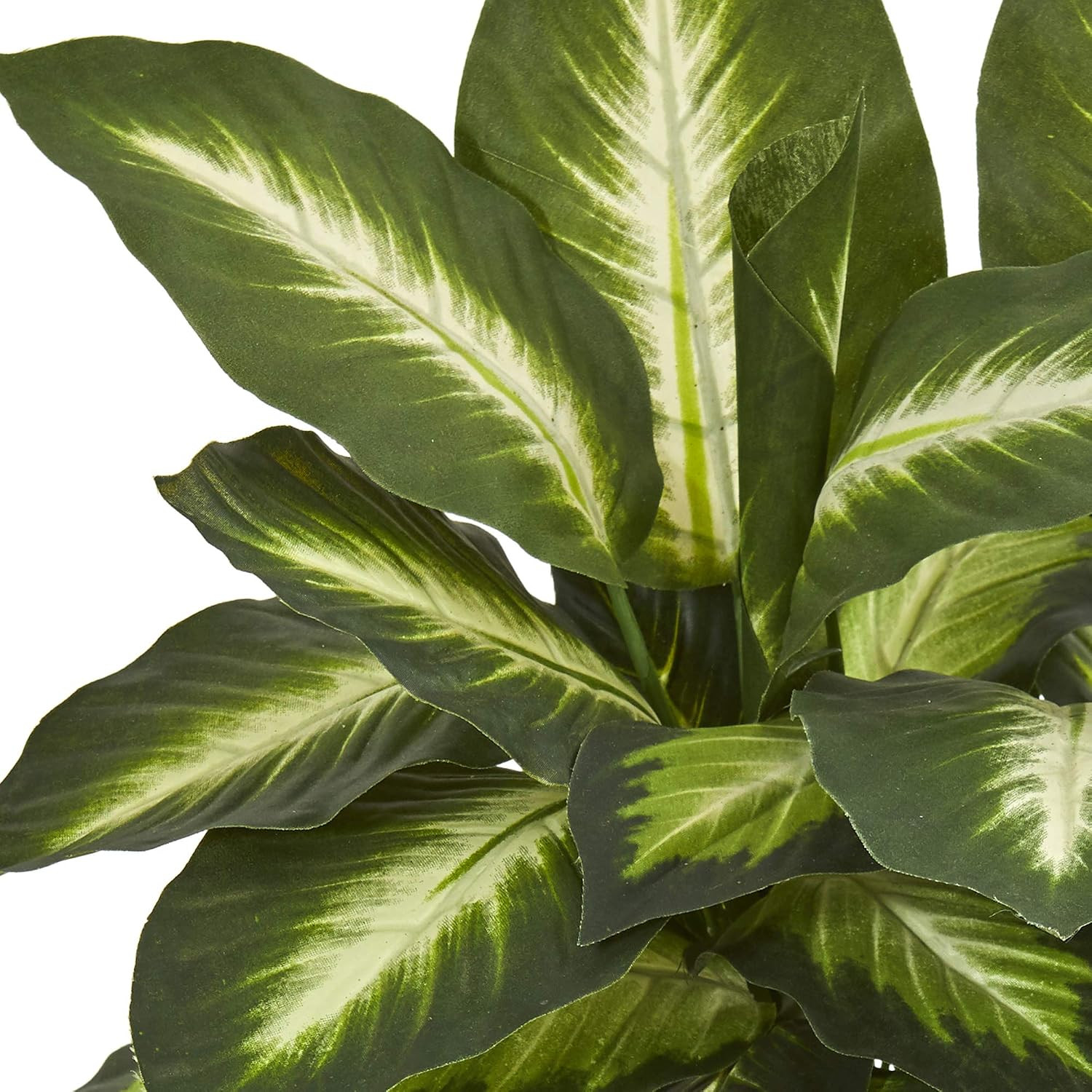 Faux Dieffenbachia Plant in Ceramic Planter – Perfect Indoor Decor