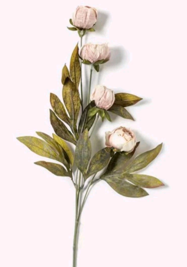 Peony Ashland 12 Stems Tan Peonies Pink Michaels TikTokViral Sold Out 12 Stems