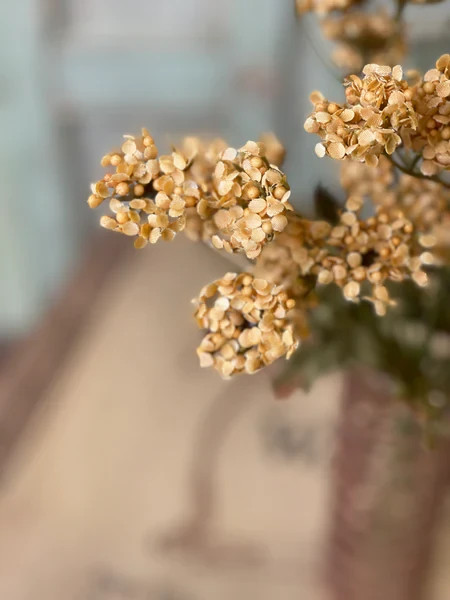 Fennel Flower Bundle – Mustard – Artificial Flowers