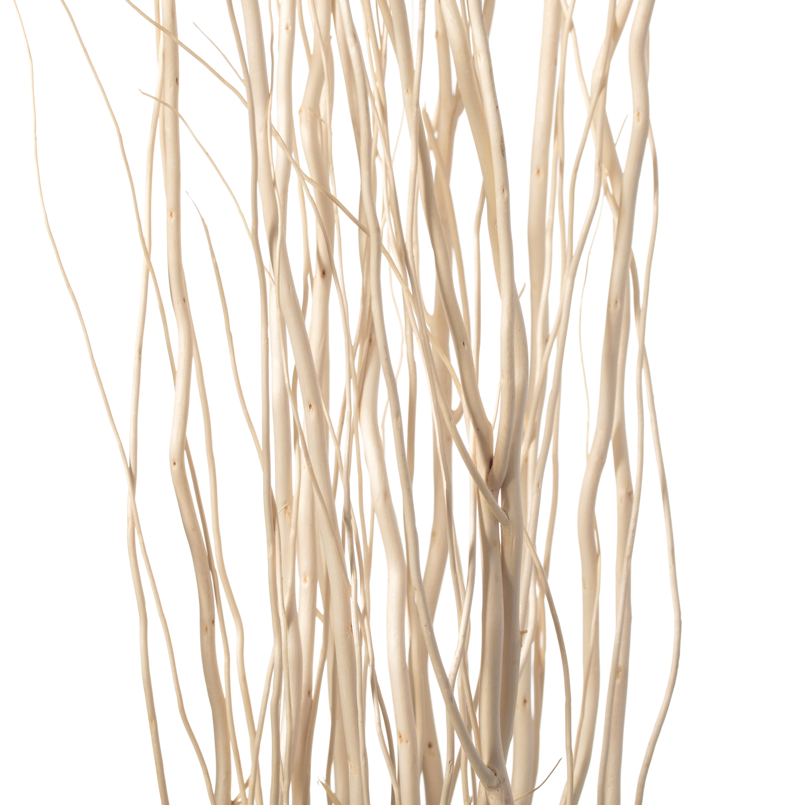 Decorative Dry Branches Authentic Willow Sticks for Home Decoration, Vase Filler