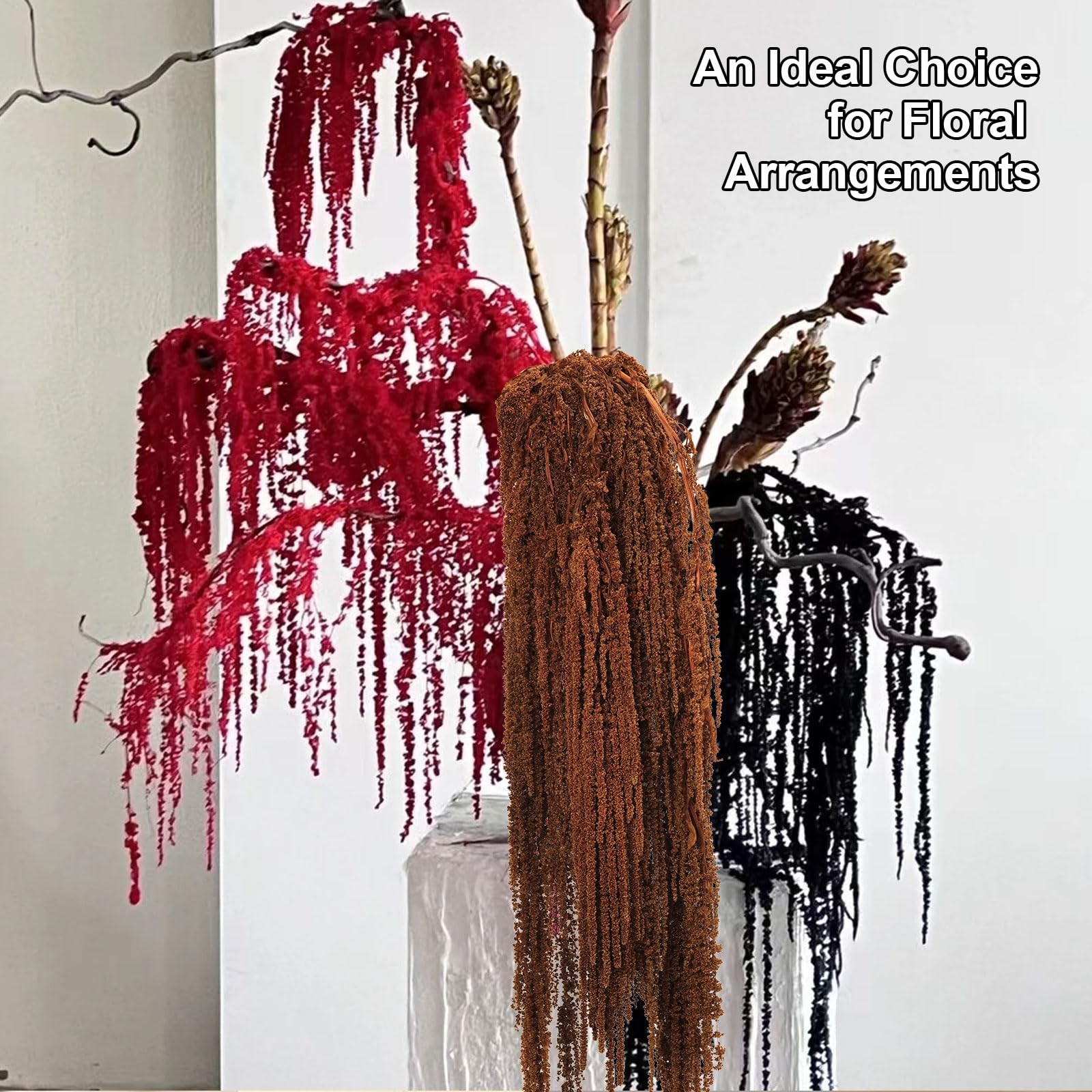 5 PCS Dried Amaranthus Hanging Flowers Natural Preserved Brown 24 Inch