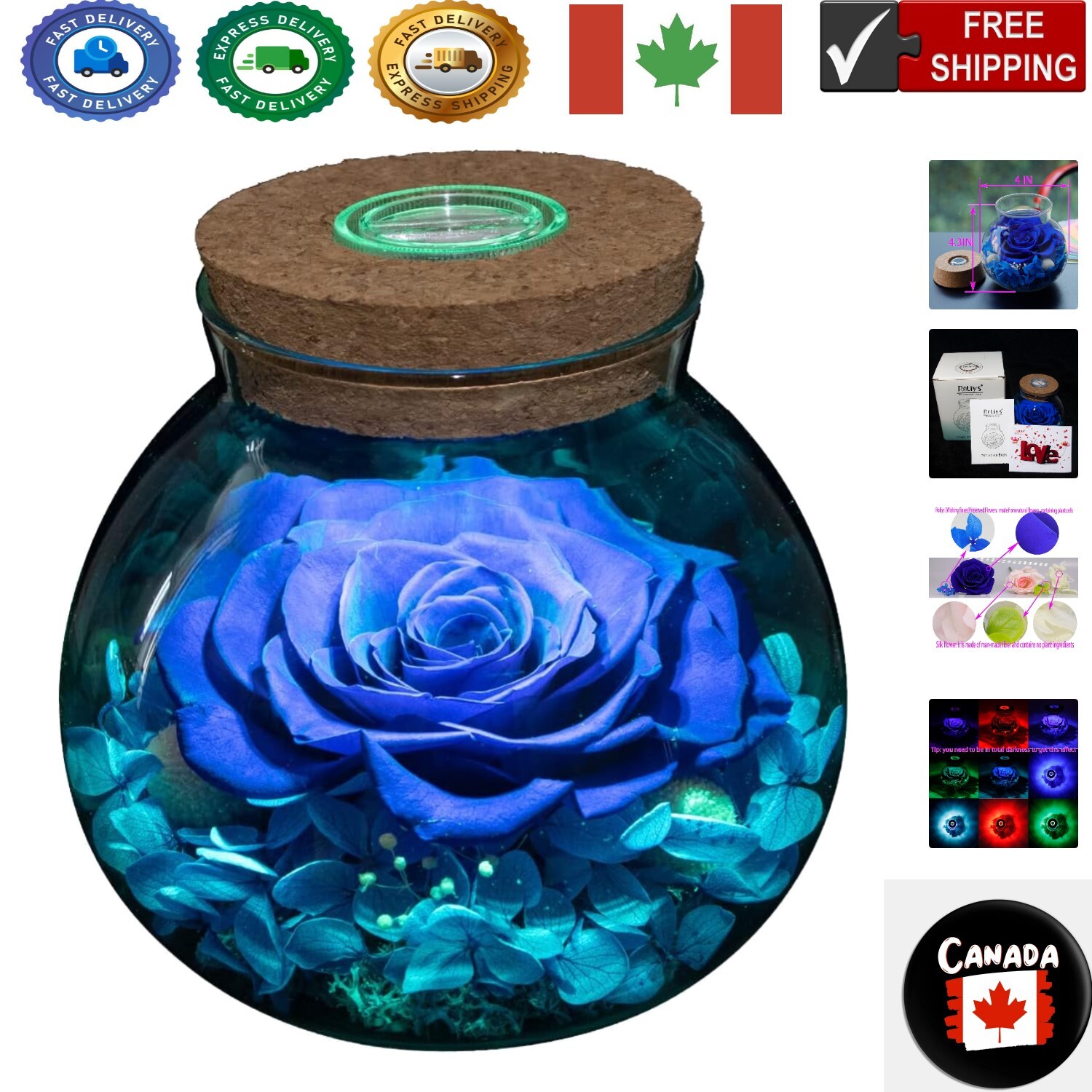 Gorgeous Mood Light Wishing Bottle with Eternal Blue Rose – Anniversary Gift