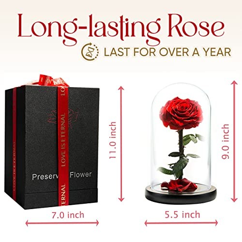 LOVAPPY Forever Preserved Rose – Eternal Rose in Assorted Colors , Sizes