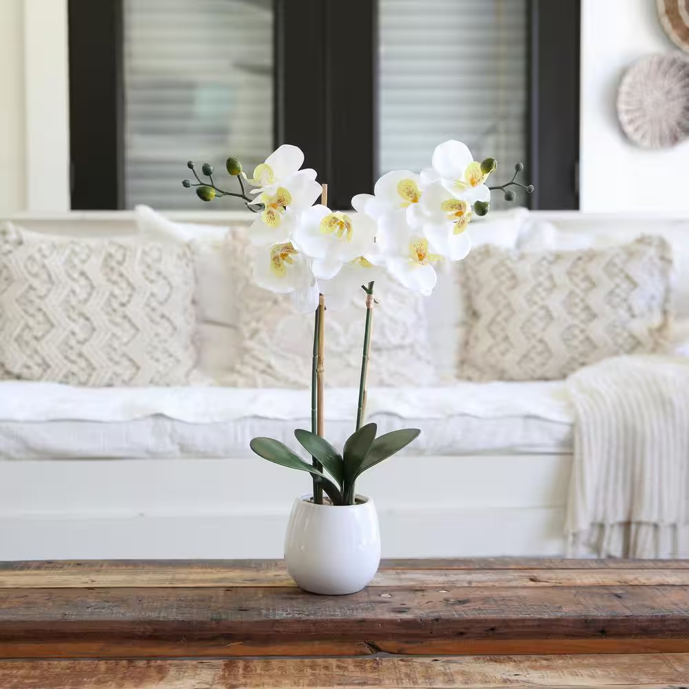 26 In. White Artificial Double Orchid Phalaenopsis Floral Arrangement with Decor