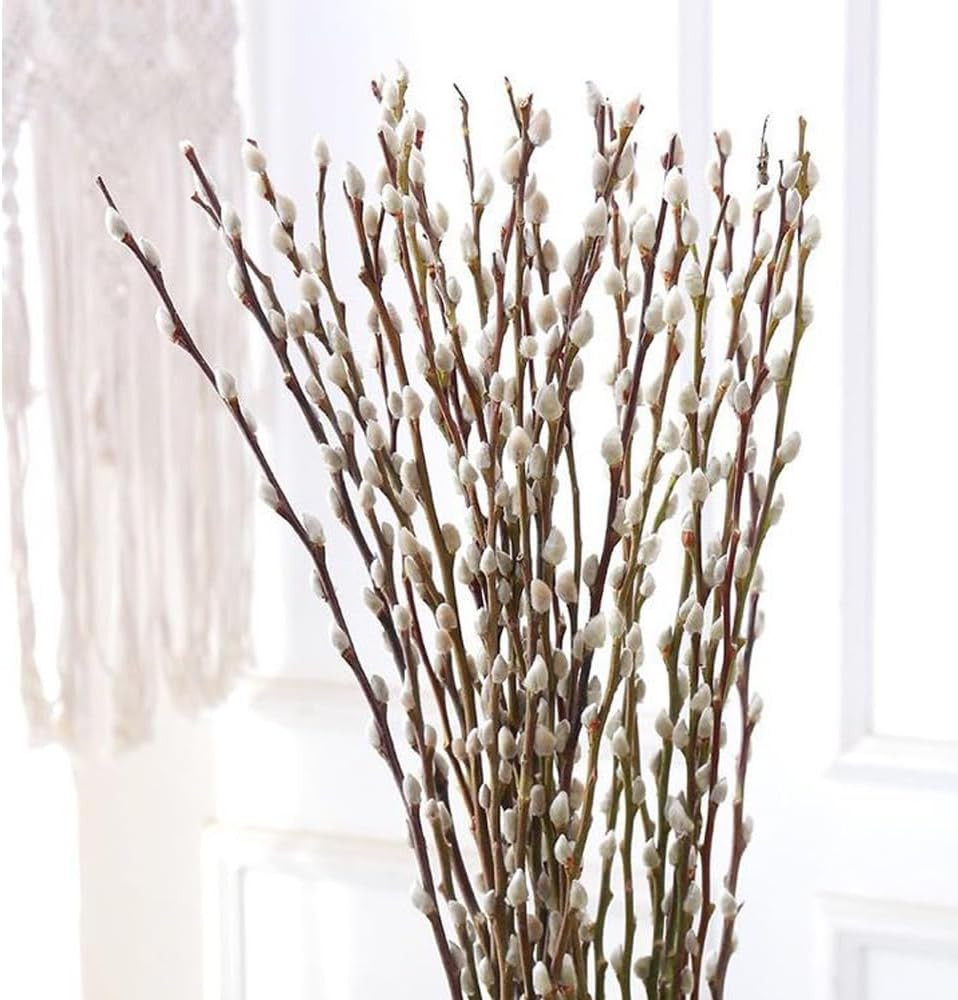 30 Branches Pussy Willow Branches for Vases 23 Inches Natural Dried Pussy Willow