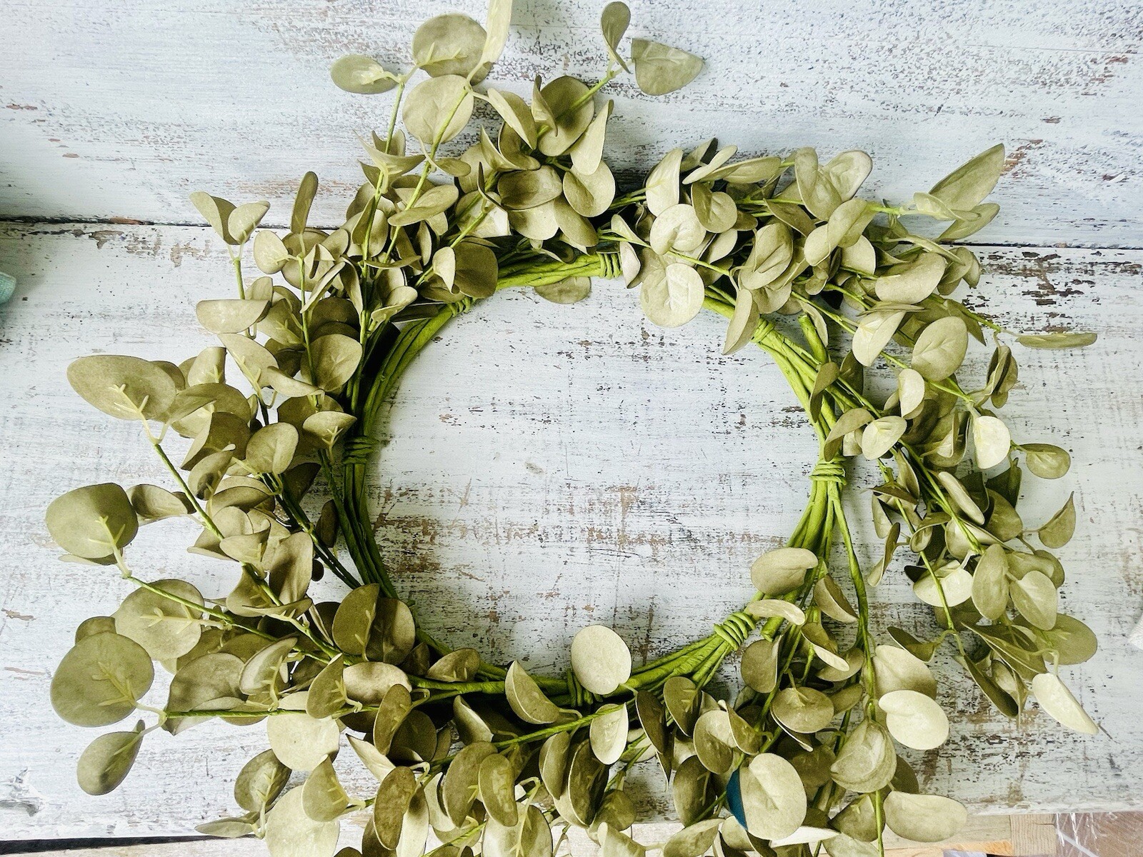 Foamy Silver Dollar Wreath, Sage, 20”
