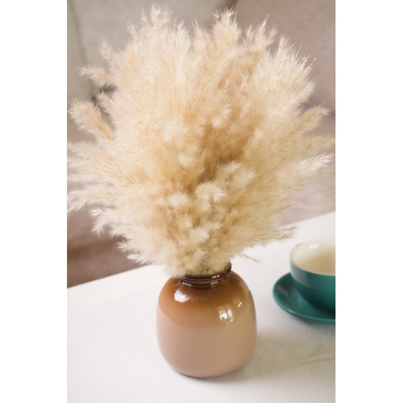 Dried Pampas Grass Arrangement in Brown Ceramic Vase Natural Home Office Decor