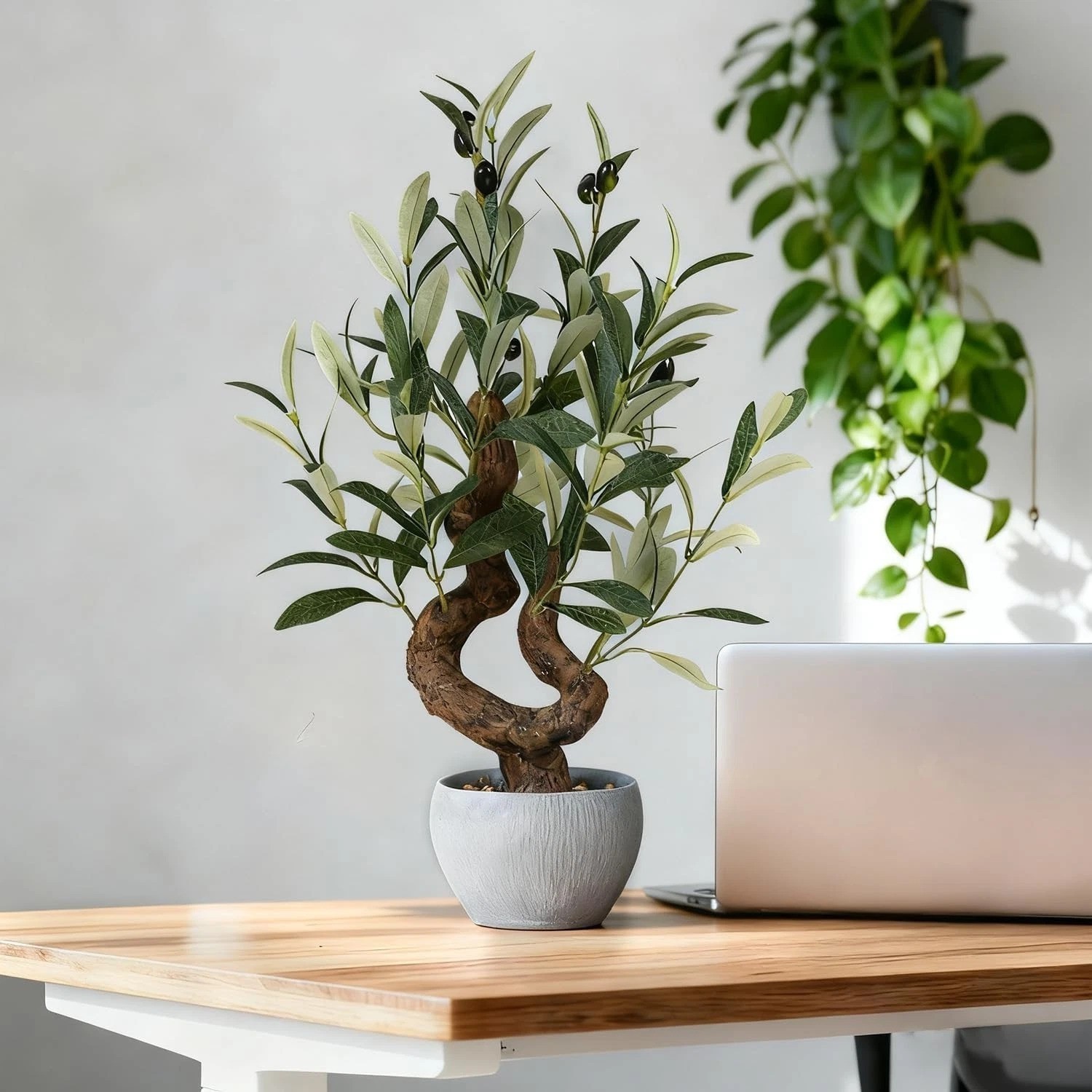 Artificial Olive Tree Potted Plant with Stone Pot, 10″ Tall Japanese Bonsai T…