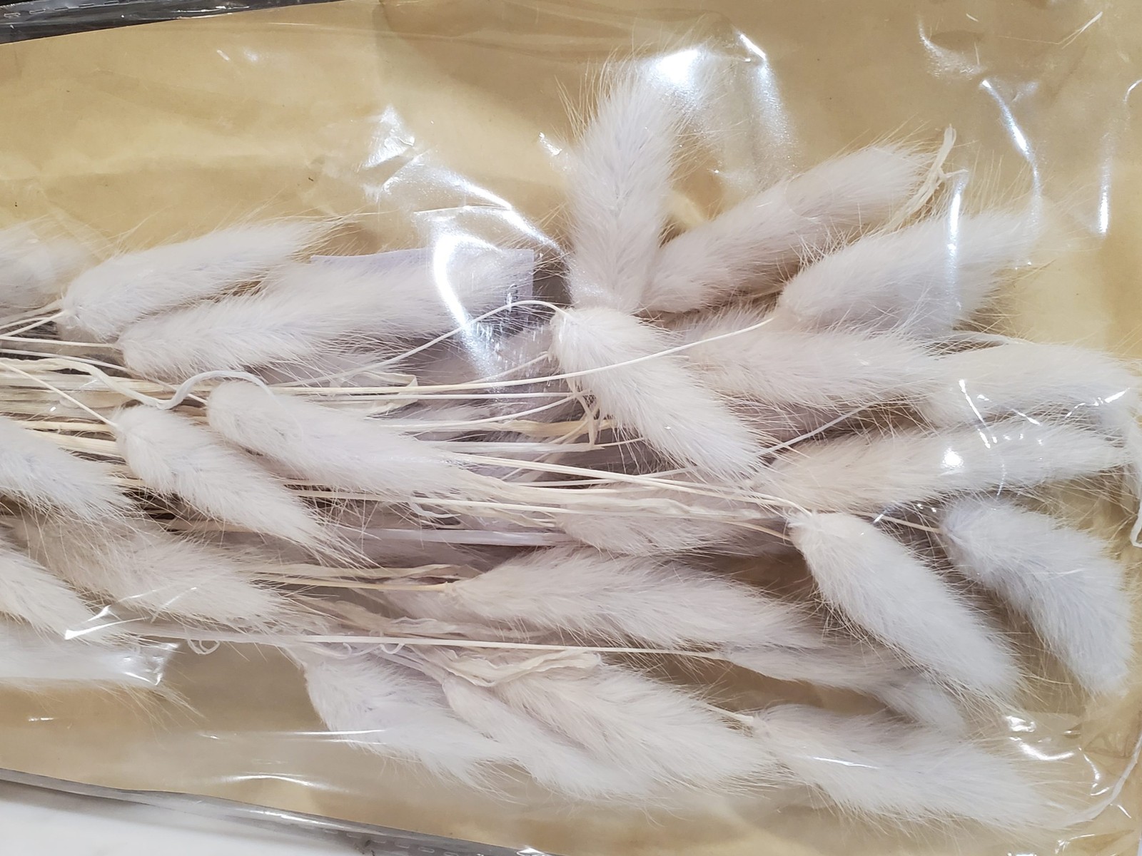 Mud Pie E3 Home Easter Décor Preserved Bunny Tail Stalks Stem 17″ 40940090 Gray