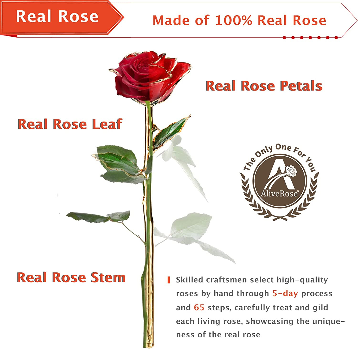 Valentines Day Gift Rose, Long Stem Rose Made from 24K Gold Dipped Real Rose Gif