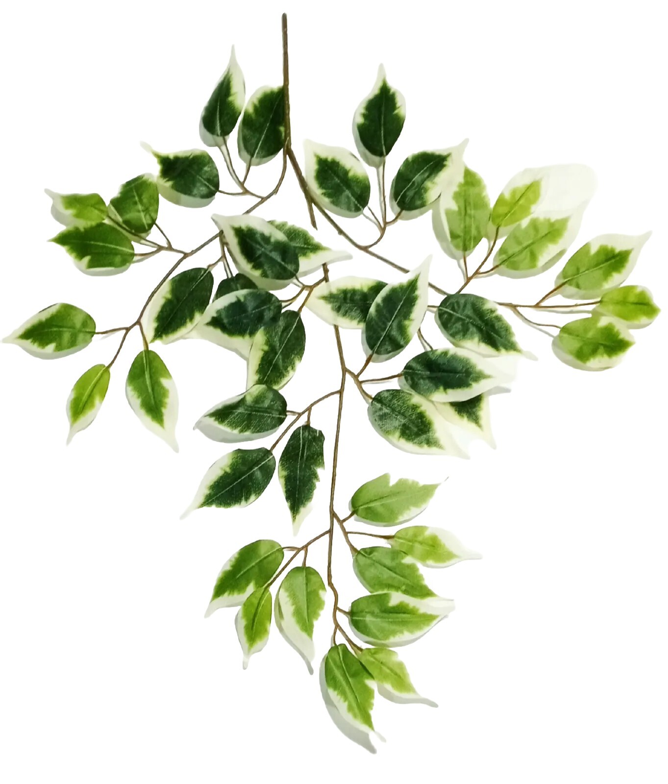 (6-Pack) Variegated Ficus Leaf 23″ Spray Filler Background Foliage Home Decor US