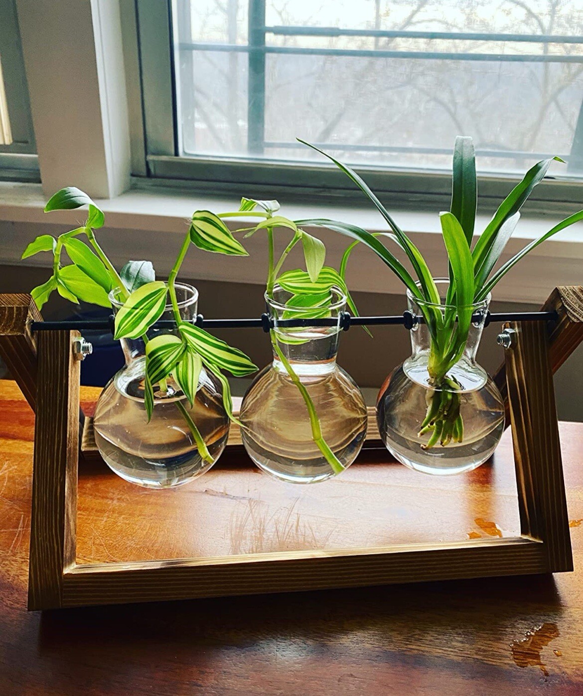 Plant Terrarium with Wooden Stand Air Planter Bulb Glass Vase Metal Swivel