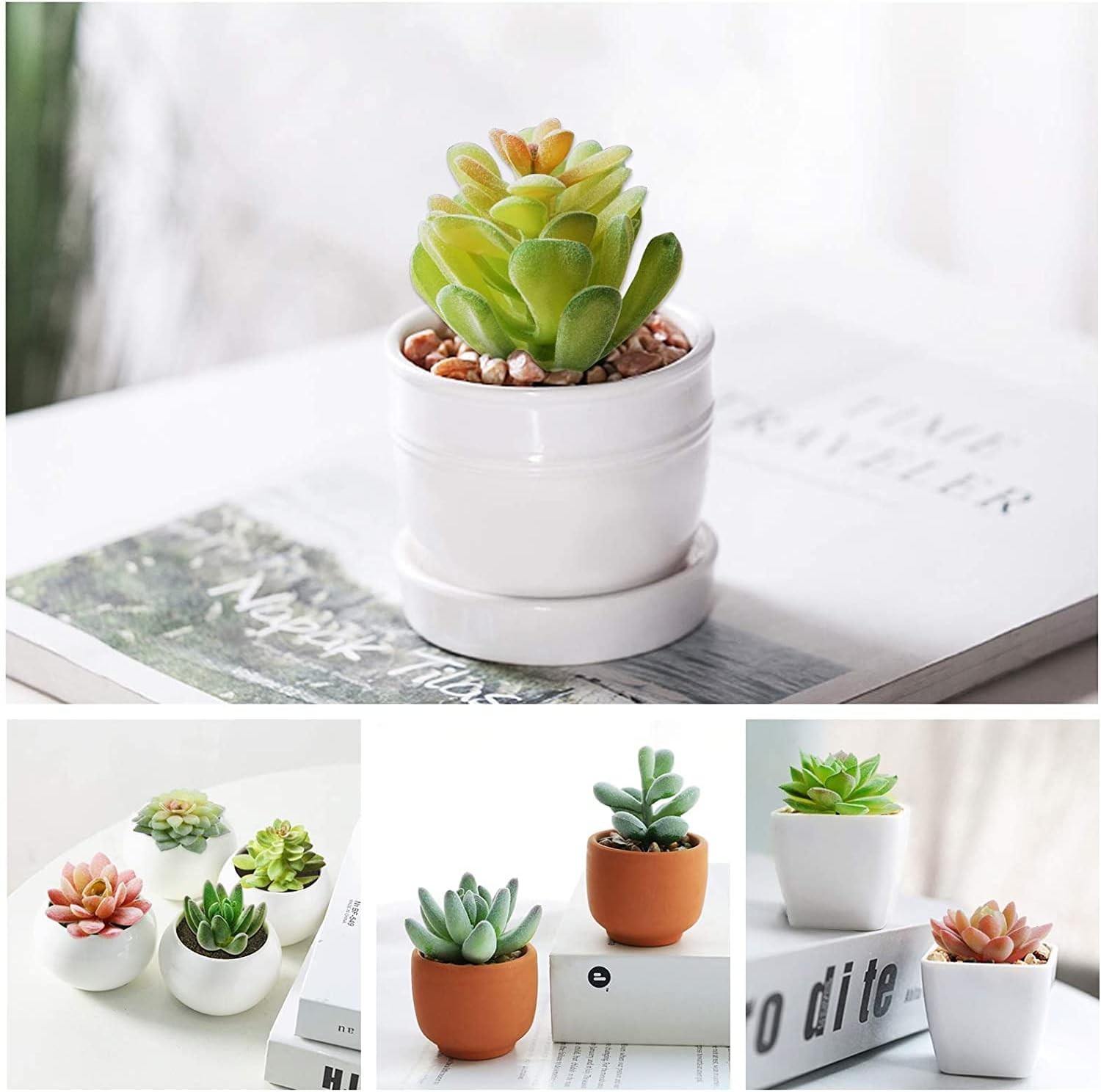 12 Pcs Artificial Succulents Mini Fake Plants Unpotted Faux Succulent Craft