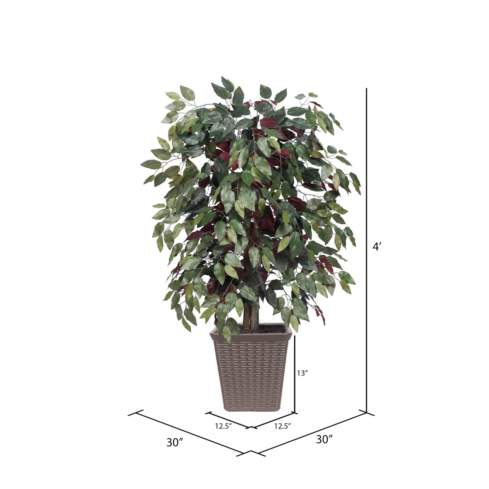 Vickerman 4′ Artificial Capensia Bush. Brown Square Plastic Basket.