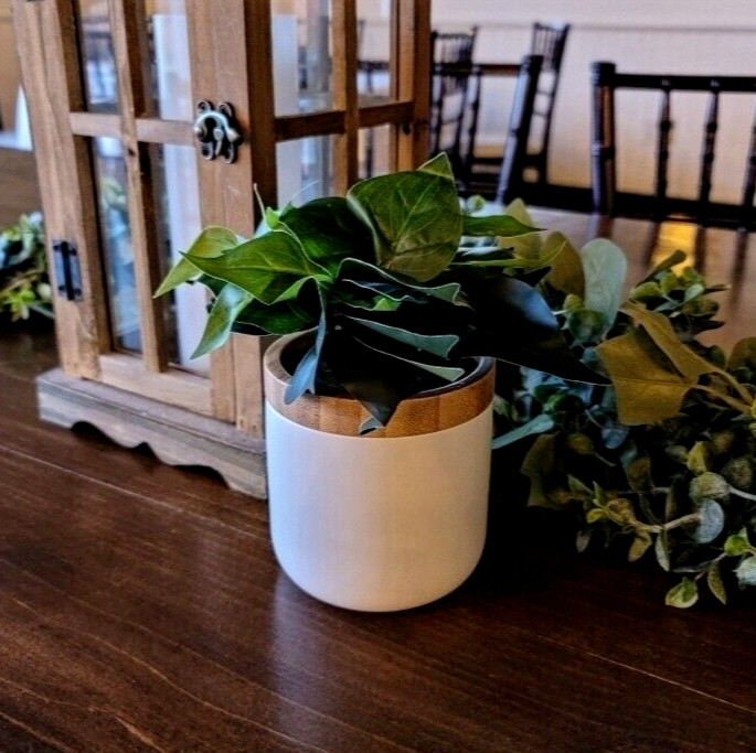 Decorative Plant Storage Jar | Great For: Office, Desk, Pet Treats, Gift, Etc.