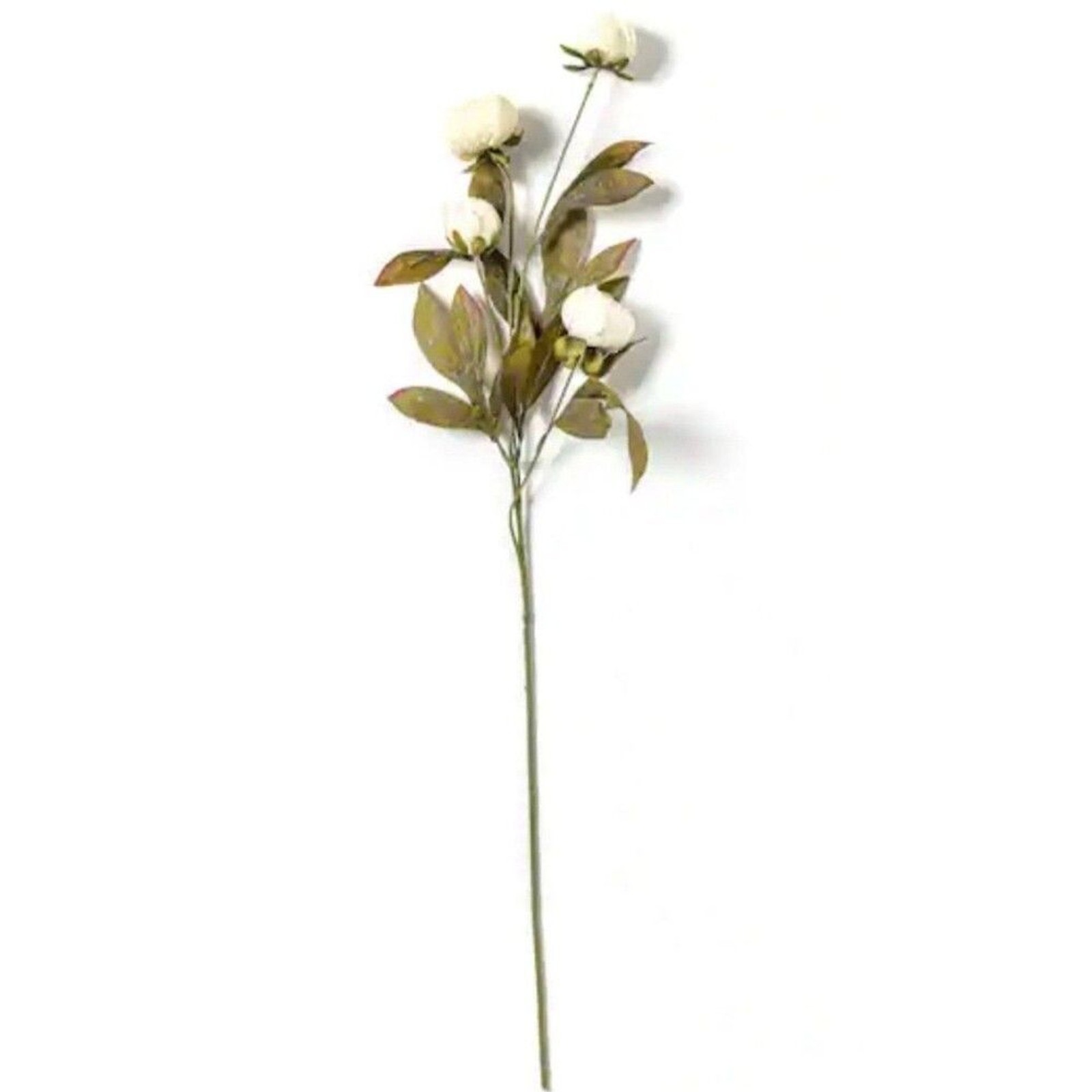 Viral Ashland Cream Peony Stem Michael’s- Set of 5