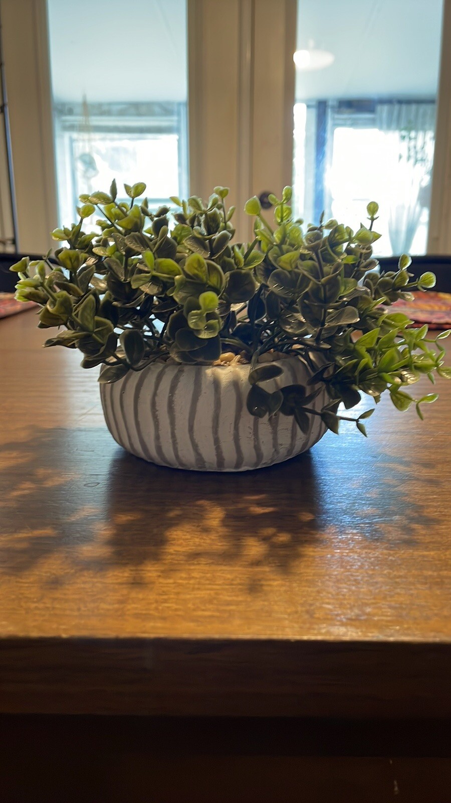 Fake Accent Plant
