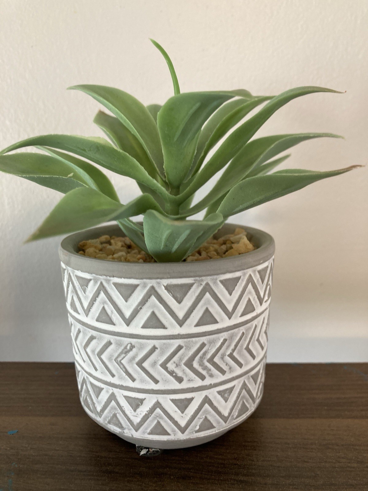 Succulent Tabletop Decor