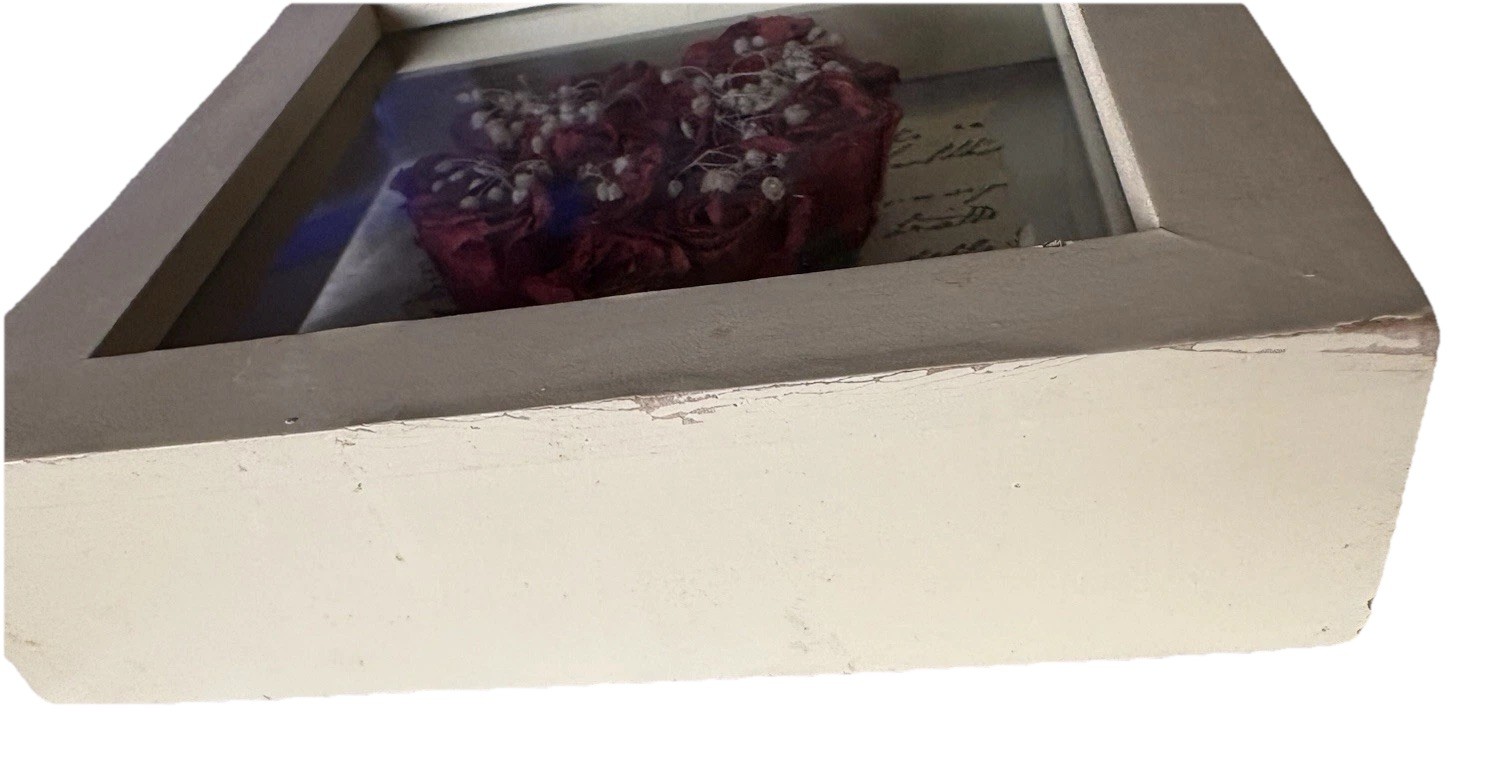 4.75” Preserved Red Roses w/ Newspaper Backing – Flower White Framed Shadow Box