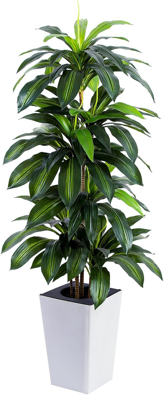 Artificial Dracaena Tree with White Tall Planter, 5Ft Tall Potted Artificial Dra