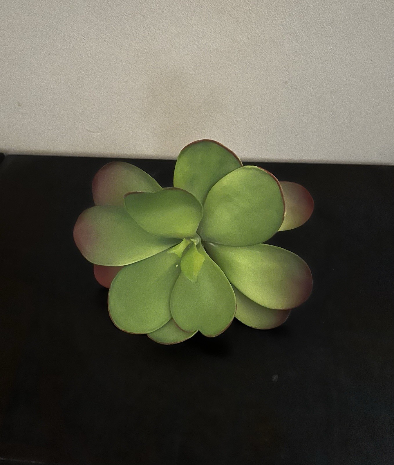 Crate and Barrel Succulent Artificial Plant