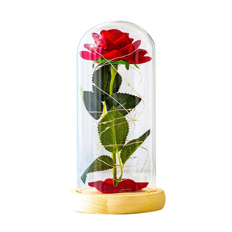 Eternal Rose in Glass Dome LED Light – Valentine’s Day Gift for Her, Anniversary