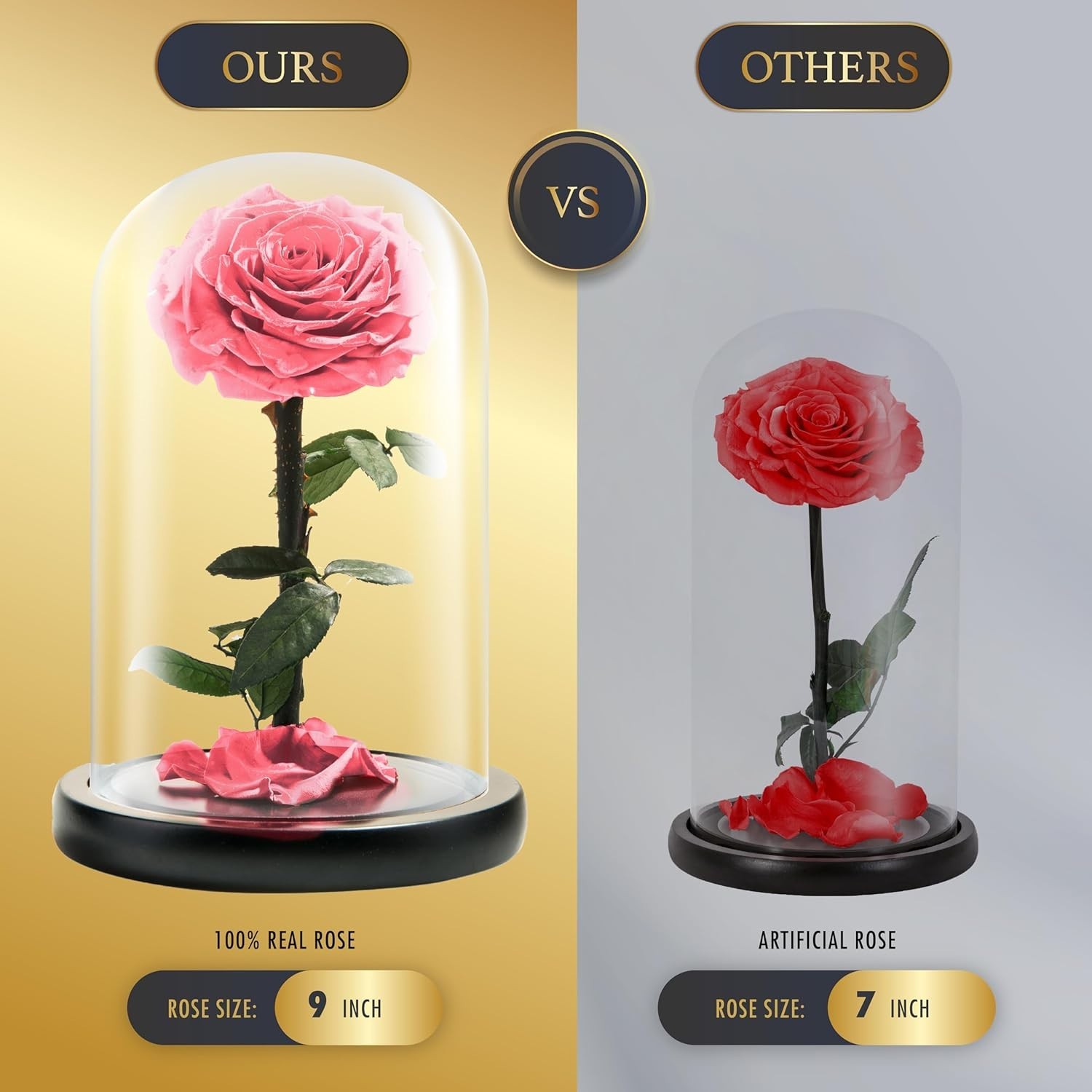 Long-lasting Pink Rose in Glass Dome – Elegant Gift for Every Occasion (9 Inch)