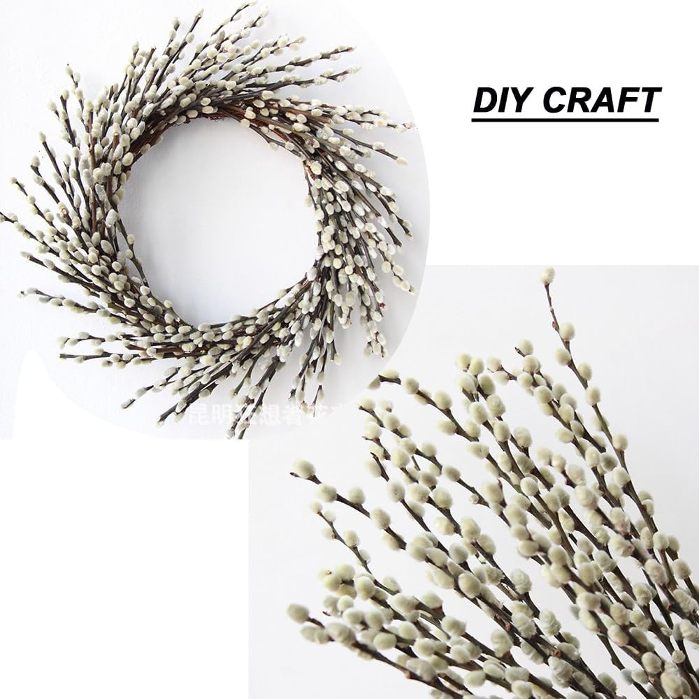 30 Branches Pussy Willow Branches for Vases 23 Inches Natural Dried Pussy Willow