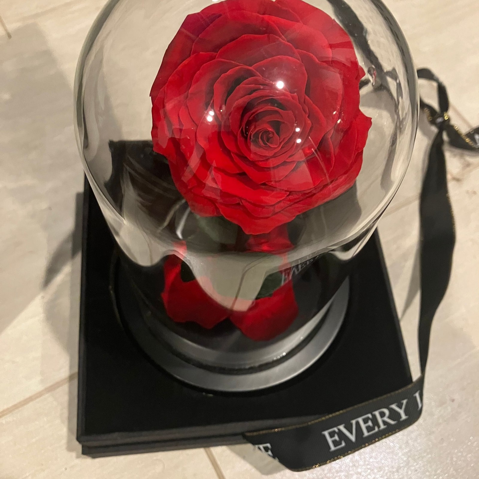 Belle Preserved Rose in Glass Dome