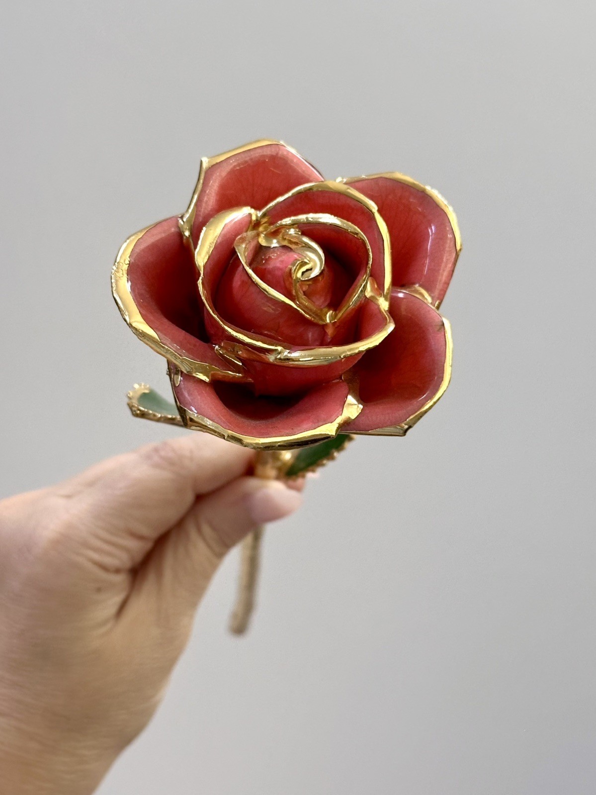 Steven Singer Jewelers – Real Rose – Preserved in 24k Gold – Pink
