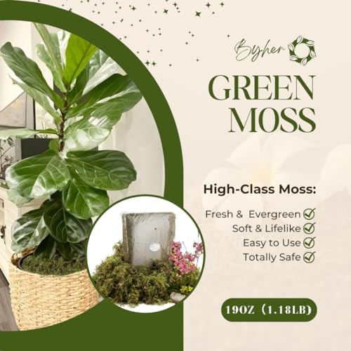19 OZ Fake Moss for Potted Plants Indoor, Artificial Moss Fresh Green – 540gr